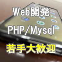 SE・プログラマ（WEB・スマホ系・Java）